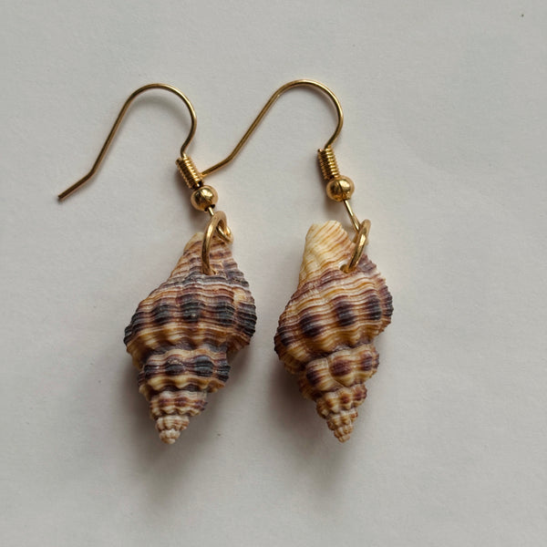 Shell Earrings