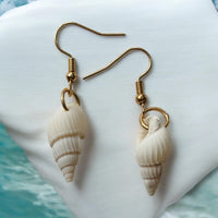 Shell Earrings
