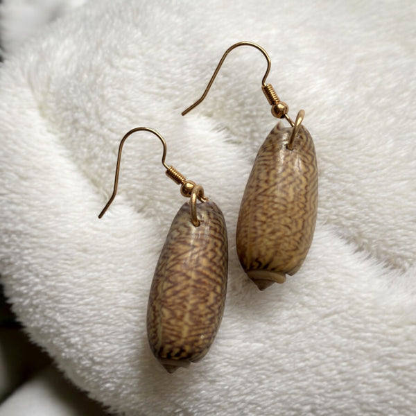 Shell Earrings