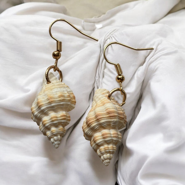 Shell Earrings