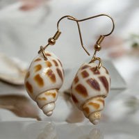 Shell Earrings