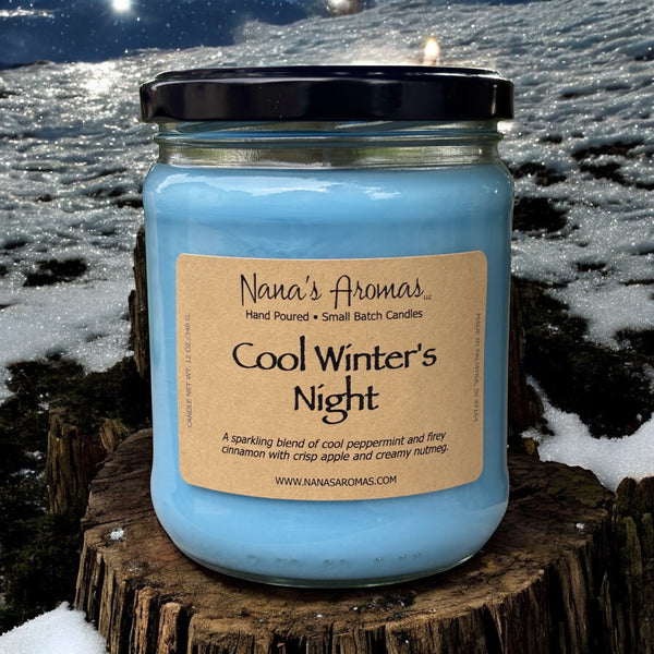 Cool Winter's Night