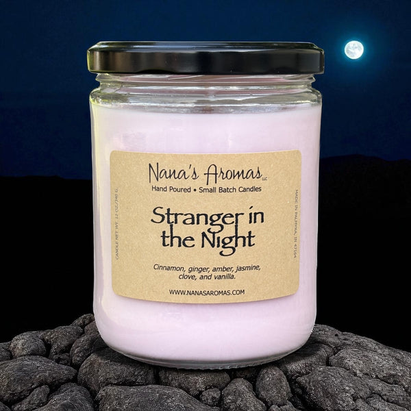 Stranger in the Night