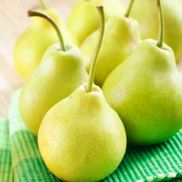 Juicy Pear